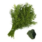 سبزی شوید پاک شده 250 گرم